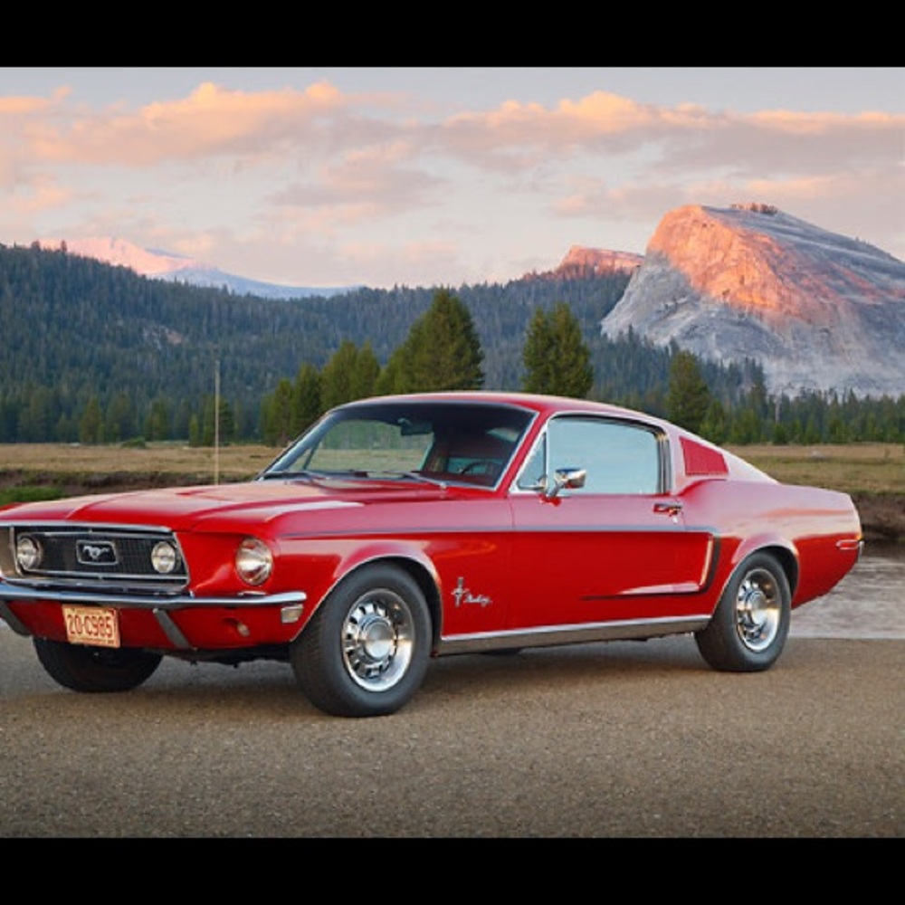 Meet your Posher, Natalie